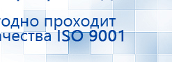 Пояс электрод купить в Мичуринске, Выносные электроды купить в Мичуринске, Дэнас официальный сайт denasolm.ru