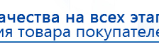 Электрод гребенчатый  купить в Мичуринске, Выносные электроды купить в Мичуринске, Дэнас официальный сайт denasolm.ru
