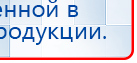 Носки электроды для Скэнар, Дэнас, Меркурий купить в Мичуринске, Выносные электроды купить в Мичуринске, Дэнас официальный сайт denasolm.ru